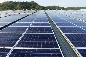 Your Guide to Danville’s Best Solar Installation Companies