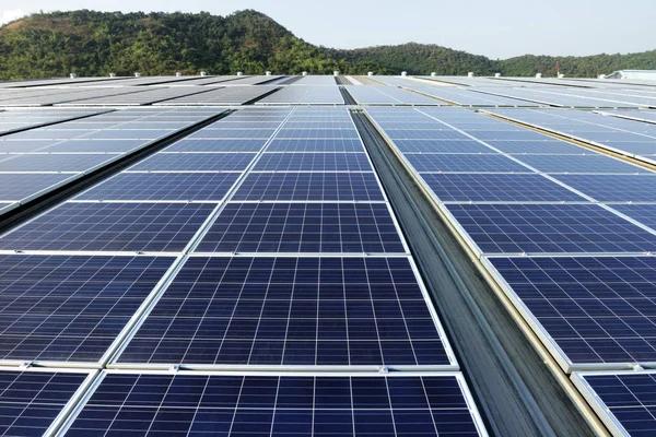 Your Guide to Danville’s Best Solar Installation Companies