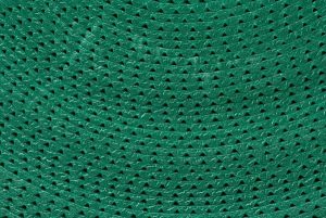 First Defense Insulation Reviews What Customers Are Saying