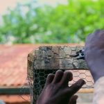 Affordable Fence Repair Salem Oregon Homeowners Trust