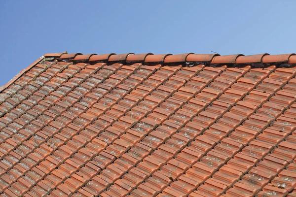 Common Signs You Need Professional Roofing Restoration Specialists