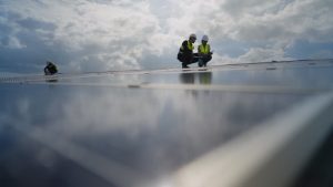 Local Roofing Contractor Albany Serving Homeowners with Excellence