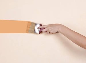 Local Painters in Richmond VA for Residential and Commercial Projects