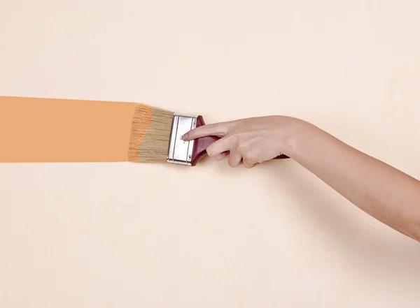 Local Painters in Richmond VA for Residential and Commercial Projects