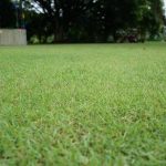 Everything You Need to Know About TurfMark Outdoor Solutions Buford